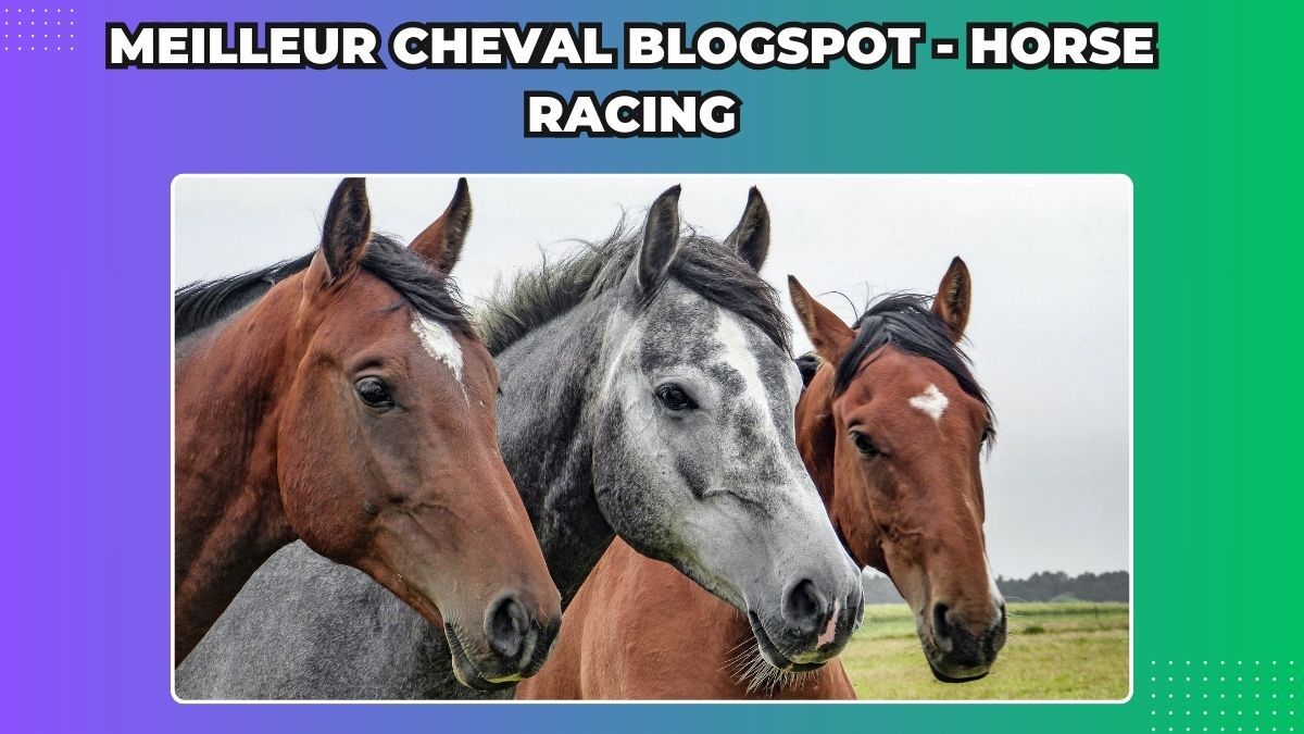 Meilleur Cheval Blogspot - Horse Racing